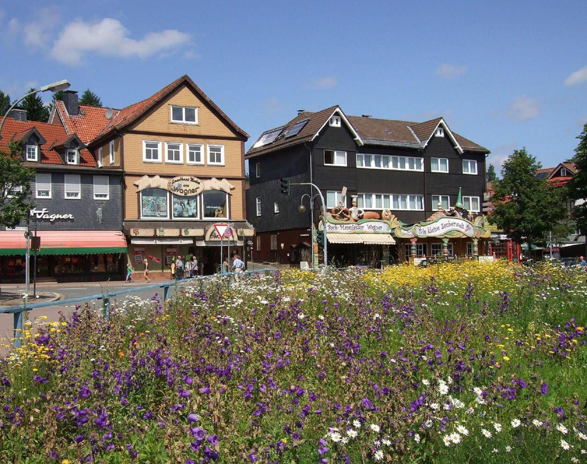 Ferienresidenz an der Bode, Wohnung 1 Braunlage Exterior foto